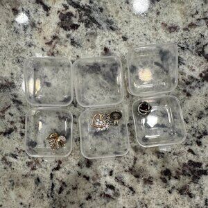 Pandora Charms